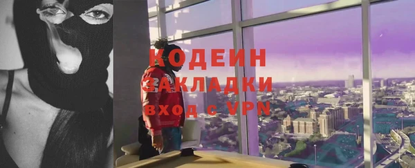 мдпв Кодинск