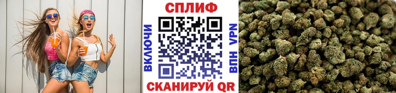 МЕГА ссылки Орёл Канабис Ganja наркотики
